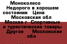 Моноколесо IPS 191 Недорого в хорошем состоянии › Цена ­ 20 000 - Московская обл., Москва г. Спортивные и туристические товары » Другое   . Московская обл.